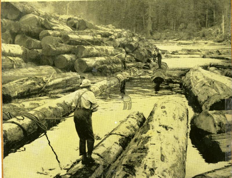 Logging, Davis Rafts