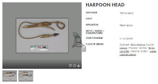 Harpoon Spear
