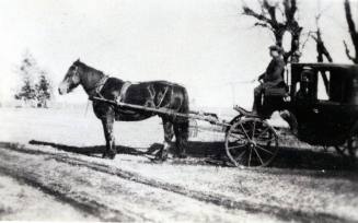 Sandspit Horse & Cart