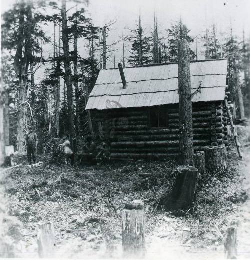 Tow Hill Cabin
