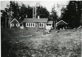 Tow Hill Homestead