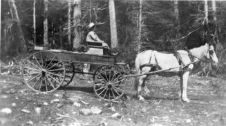 Lawn Hill - Horse & Cart