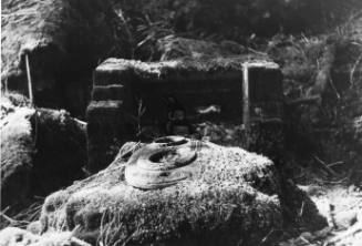 Jedway-Sawmill Remains