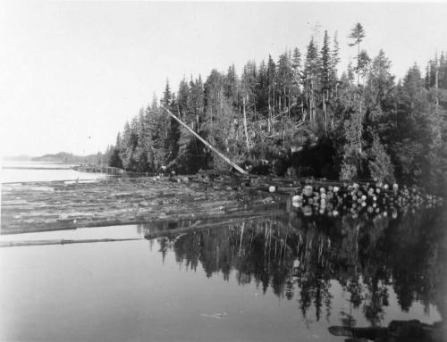 Shannon Bay-Transporting Logs