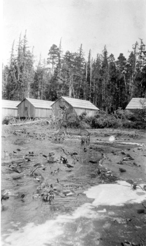 Mayer Lake - Logging Camp