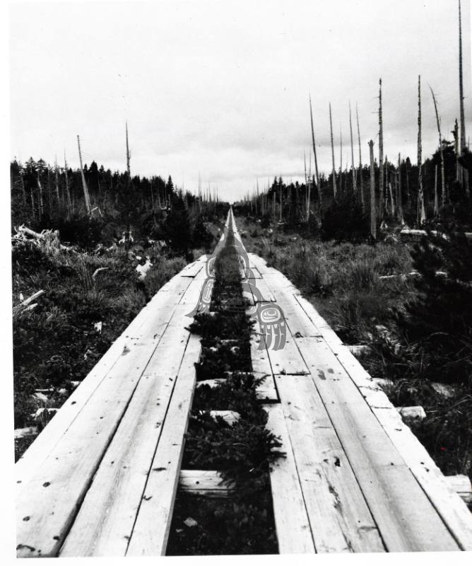 Port-Tlell Plank Road