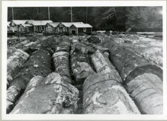 Morgan's Logging Camp