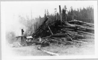 Tingleys' Logging Operation