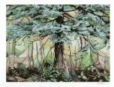 Forest scene watercolour painting