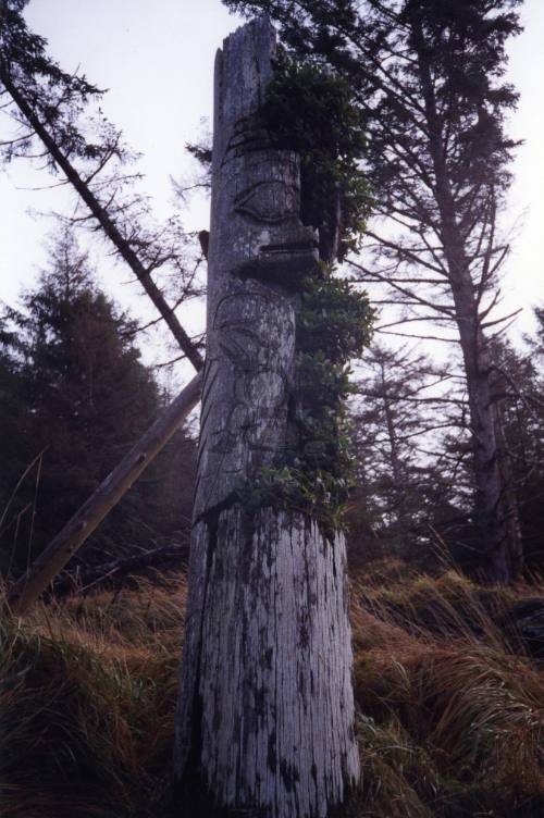 Mortuary Pole, Skedans