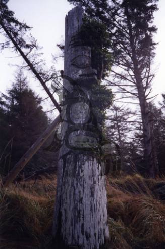 Mortuary Pole, Skedans