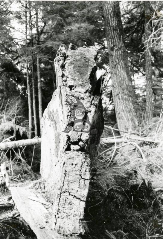 Juskatla Haida Canoe