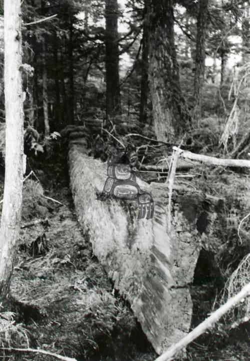 Juskatla Haida Canoe