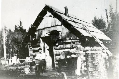 Tlell Cabin