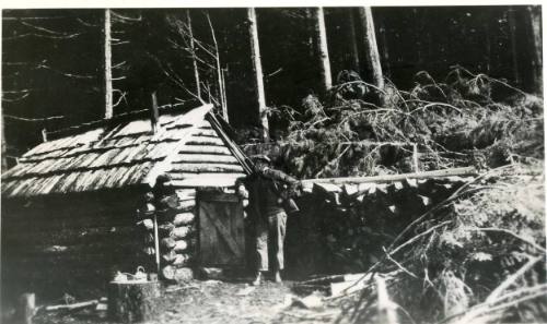 Tow Hill Cabin