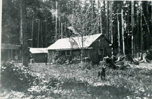 Tow Hill Cabin