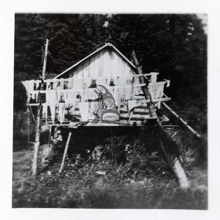 Old Massett - Drying Fish