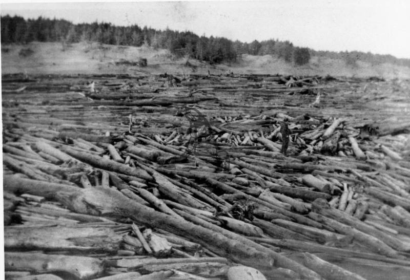 Beach with Driftwood