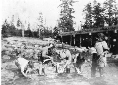 Masset-Cleaning Fish