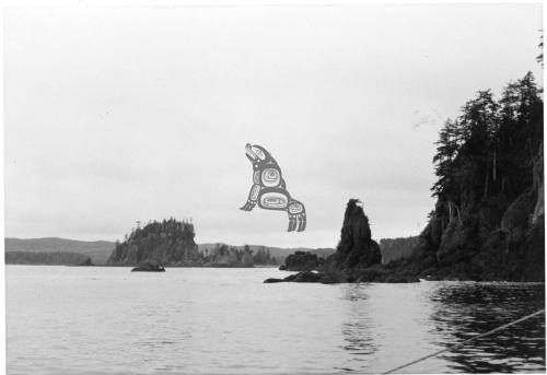 Cloak Bay, Langara Island