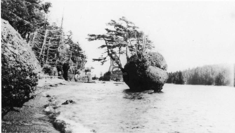 Flower Pot Rock