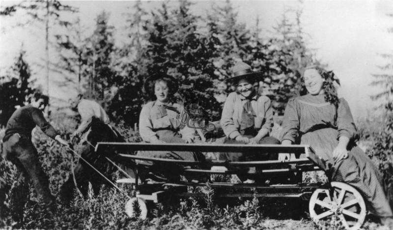 Tlell Group in Hayrack