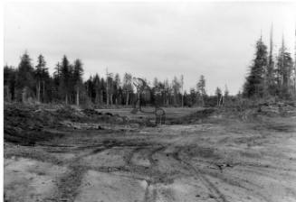 Masset-DND Construction