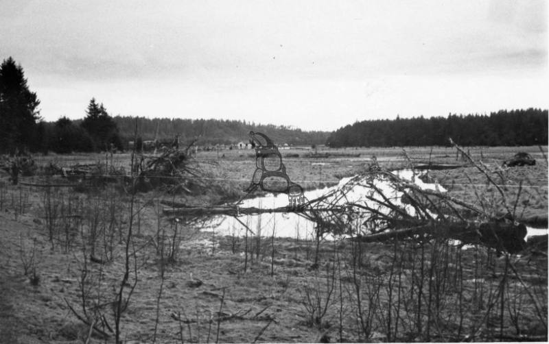 Masset Flats