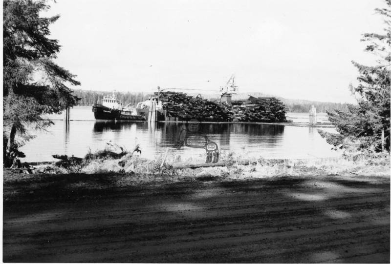 Masset-Logging Dump