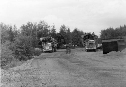 Jukatla-Logging Trucks