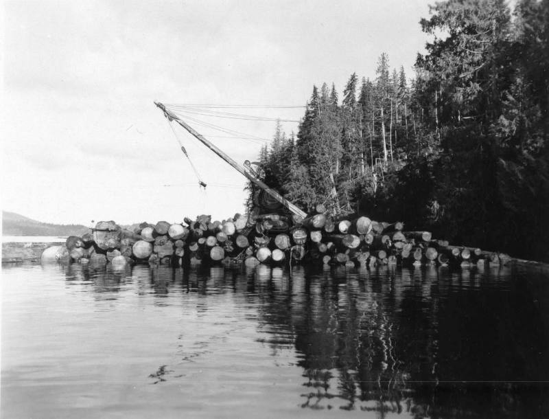 Shannon Bay-Transporting Logs