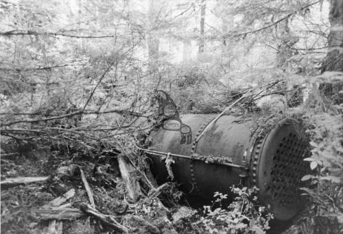 Camp Wilson Remains