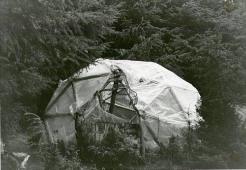 Greenhouse