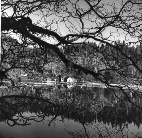 Cumshewa Inlet