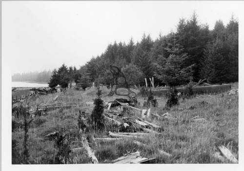 Naden Harbour