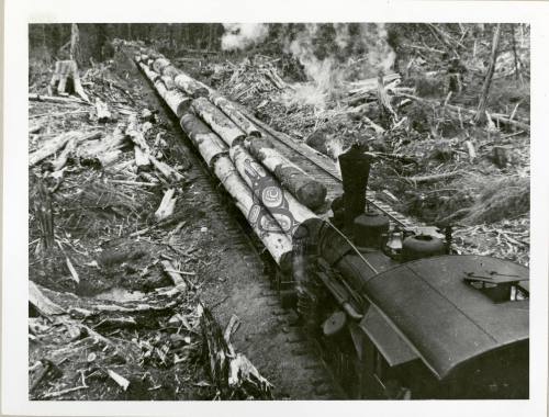 Queen Charlotte Islands Logging