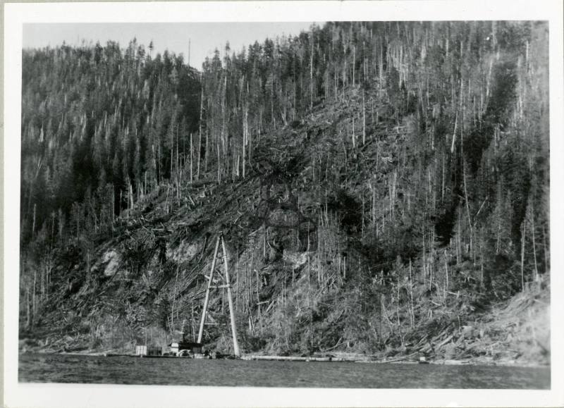 Morgan's Logging Camp