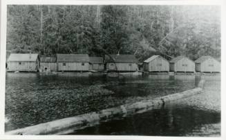 Masset Inlet Logging