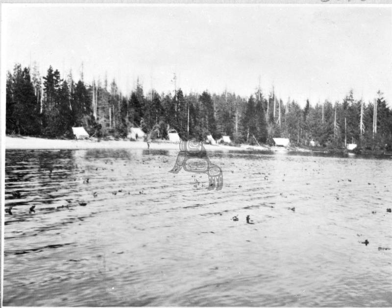 Mayer Lake Survey Camp