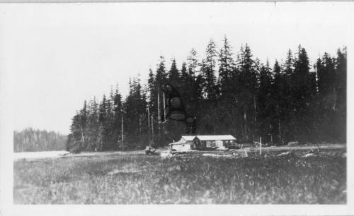 Tingleys' Logging Camp