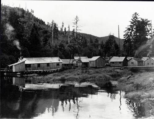 Awun Logging Camp