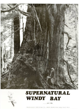 Poster: Supernatural Windy Bay