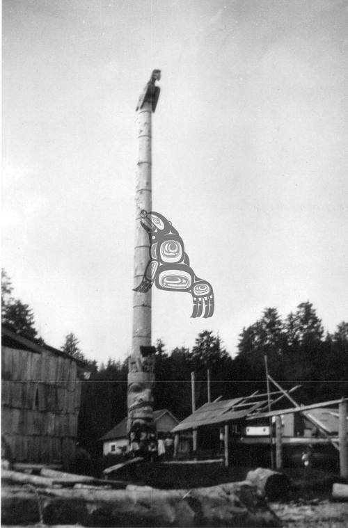 Staastas Beaver Pole