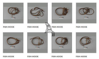 Fish Hook