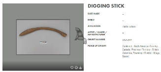 Digging Stick