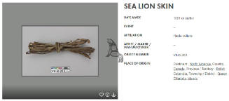 Sea Lion Skin