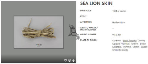 Sea Lion Skin