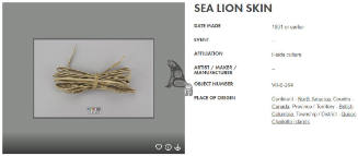 Sea Lion Skin